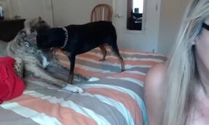 backwoodsbeaver intimate record on 2/1/15 14:23 from chaturbate