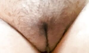 Desi sexy indian hairy pussy